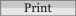 Print this Post